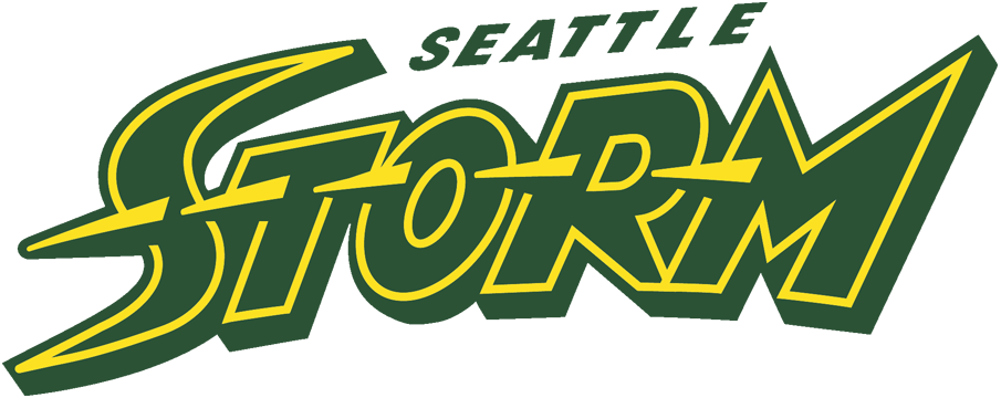 Seattle Storm 2016-Pres Wordmark Logo iron on heat transfer